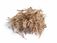 Ведьмина трава (Triticum repens)